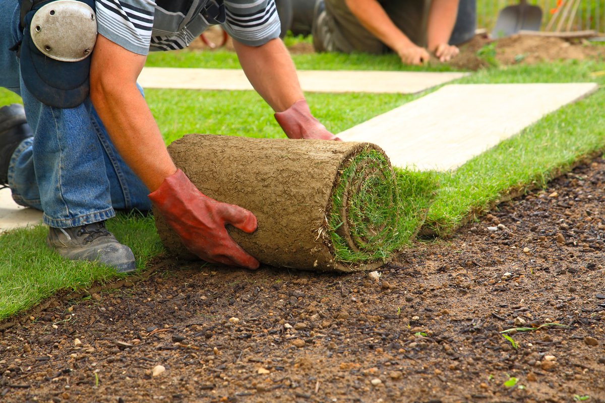 Sod-Installation-Sod-Intallers-Installing-Sod-in-Winston-Salem ...